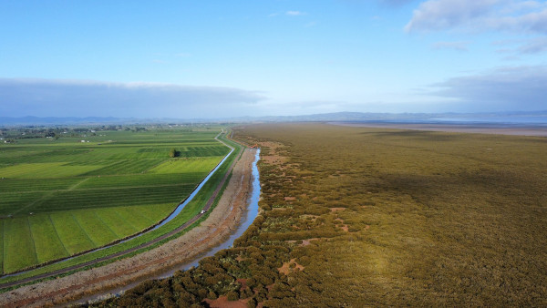  Image of foreshore stopbanks