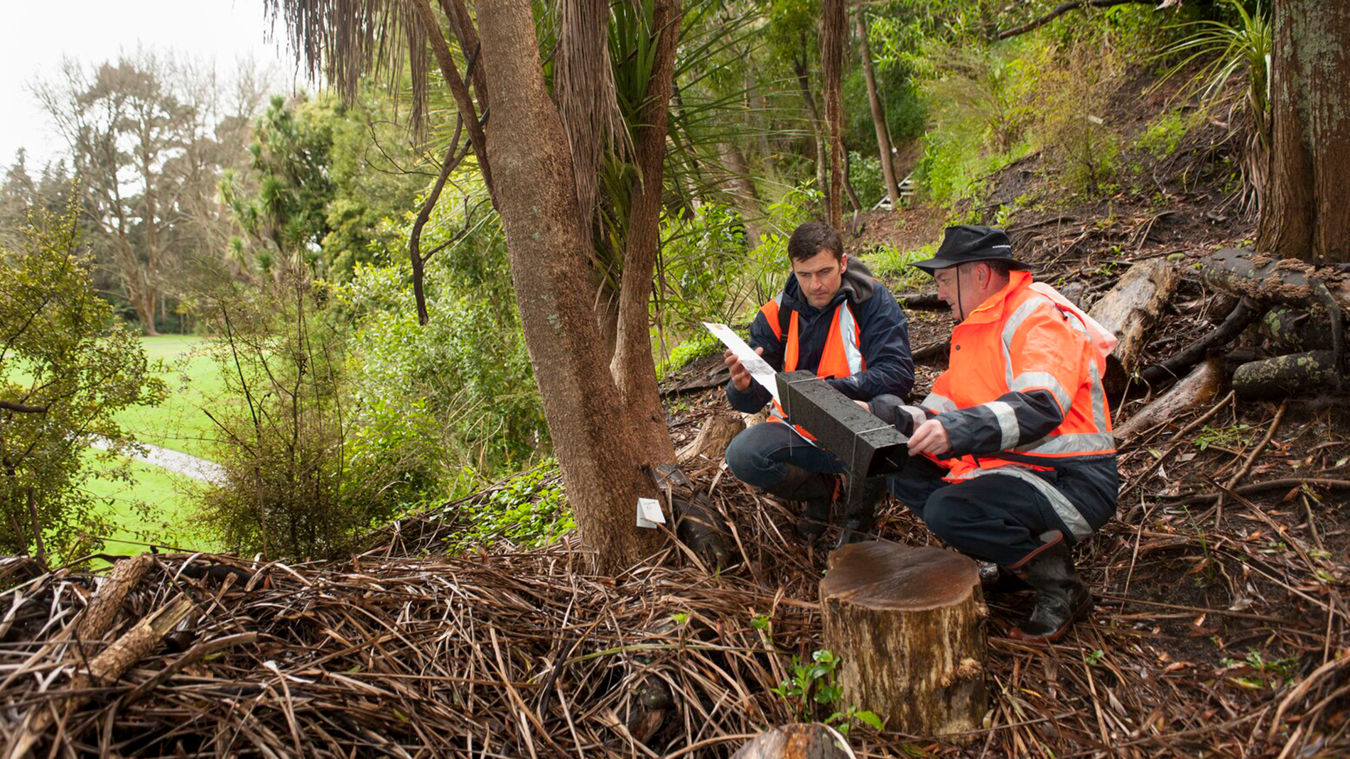 Image - biosecurity staff with trap