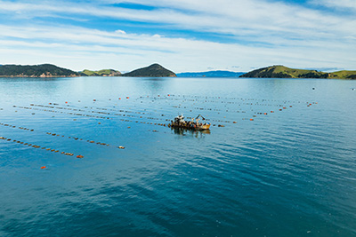 View of the mussel barge