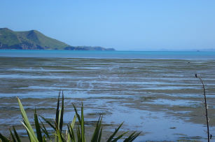 Coromandel Harbour  Brickfield Bay