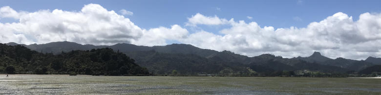 Coromandel Harbour Brickfield Bay mudflats