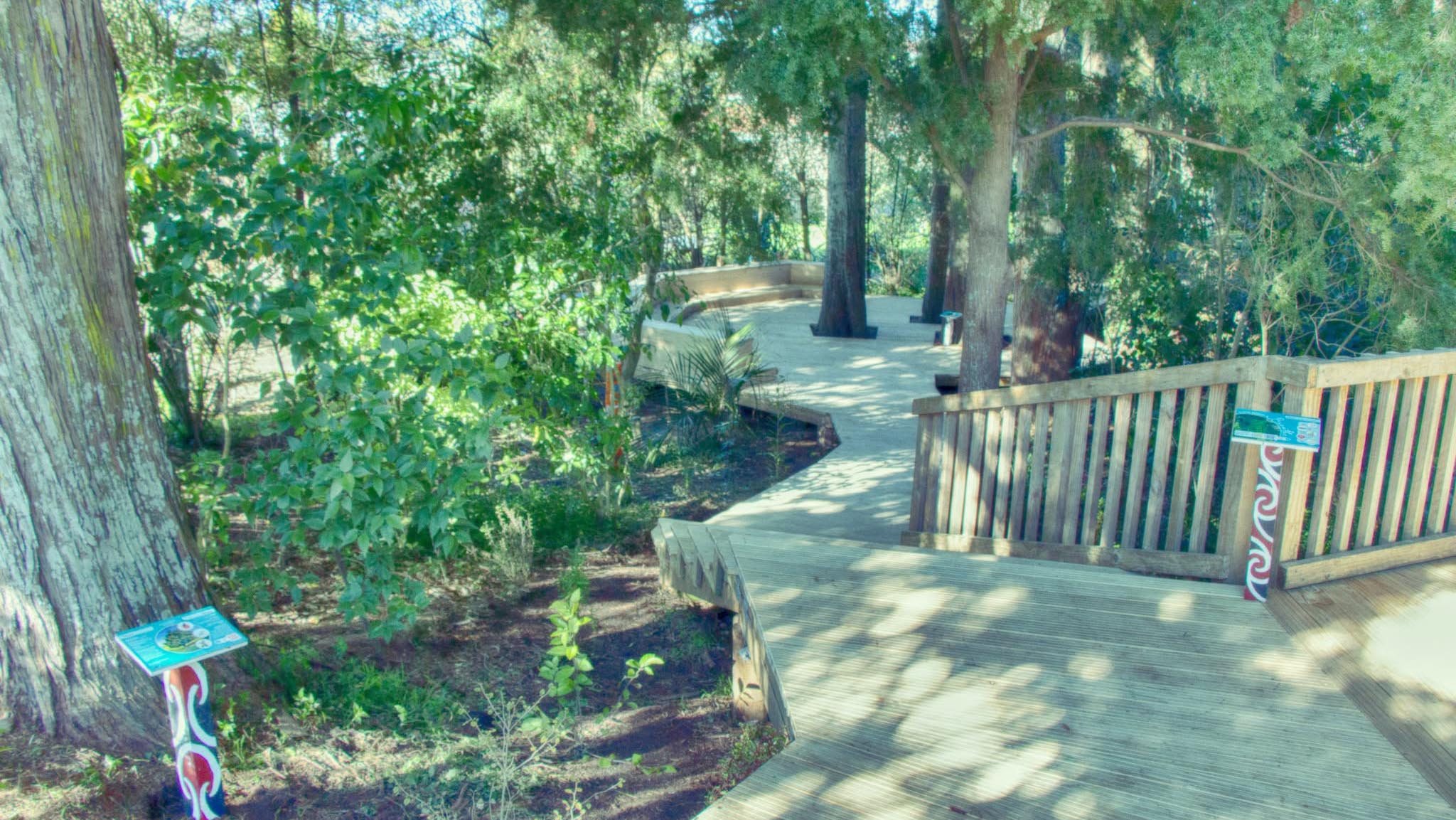 Image of Forest Lake board walk