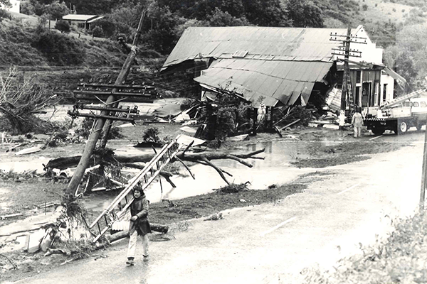 Waikino, 1981.