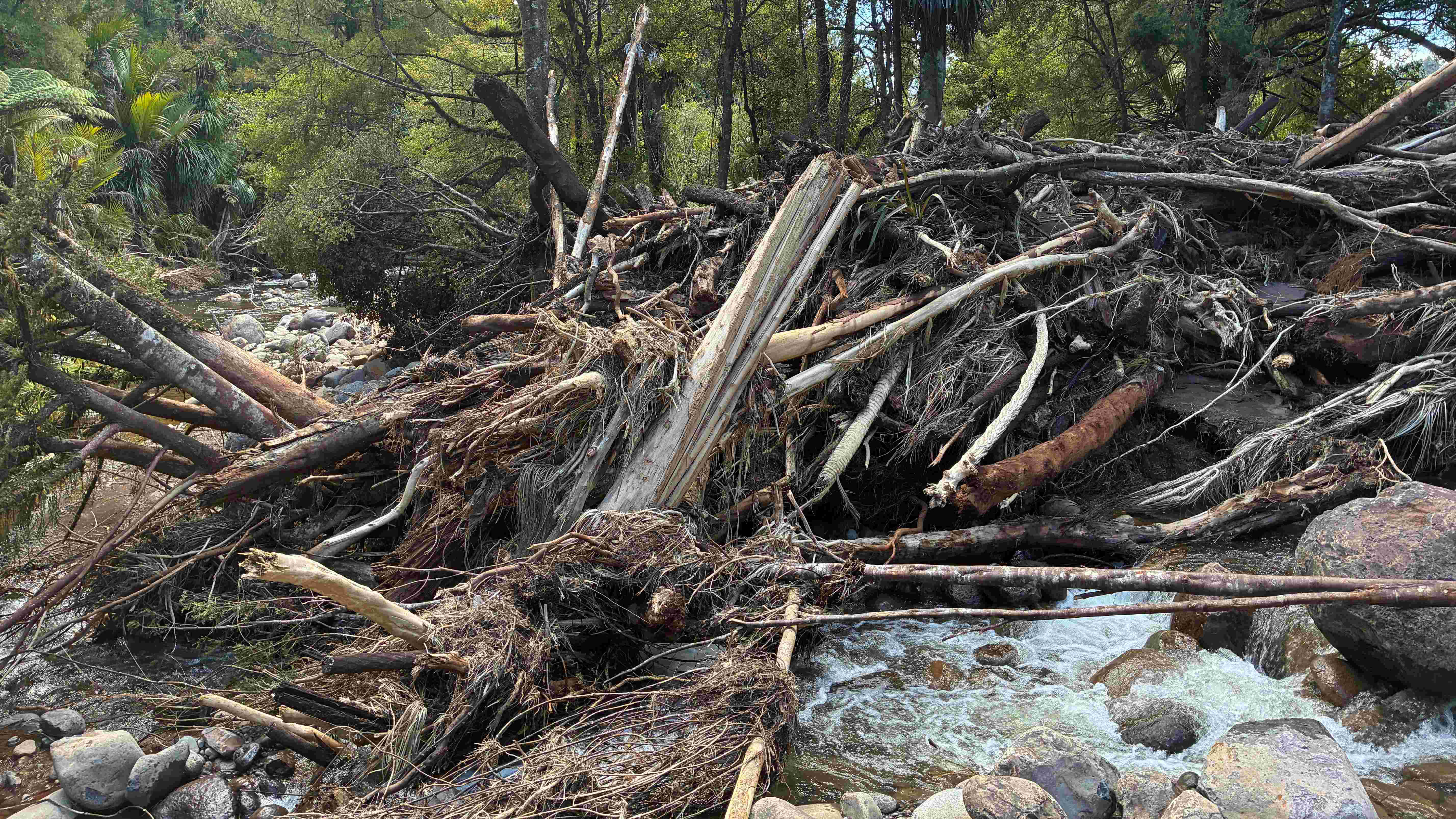 Kaniwhaniwha Stream flood damage, debris dam, February 2026.
