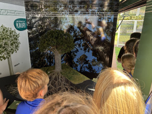 Children check out a kauri tree scale model complete with the usually hidden root system 