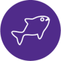 Purple icon of a line fish