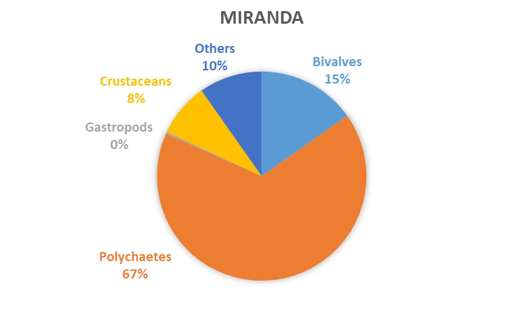 REMP monitoring results - data graph - Miranda macrofauna