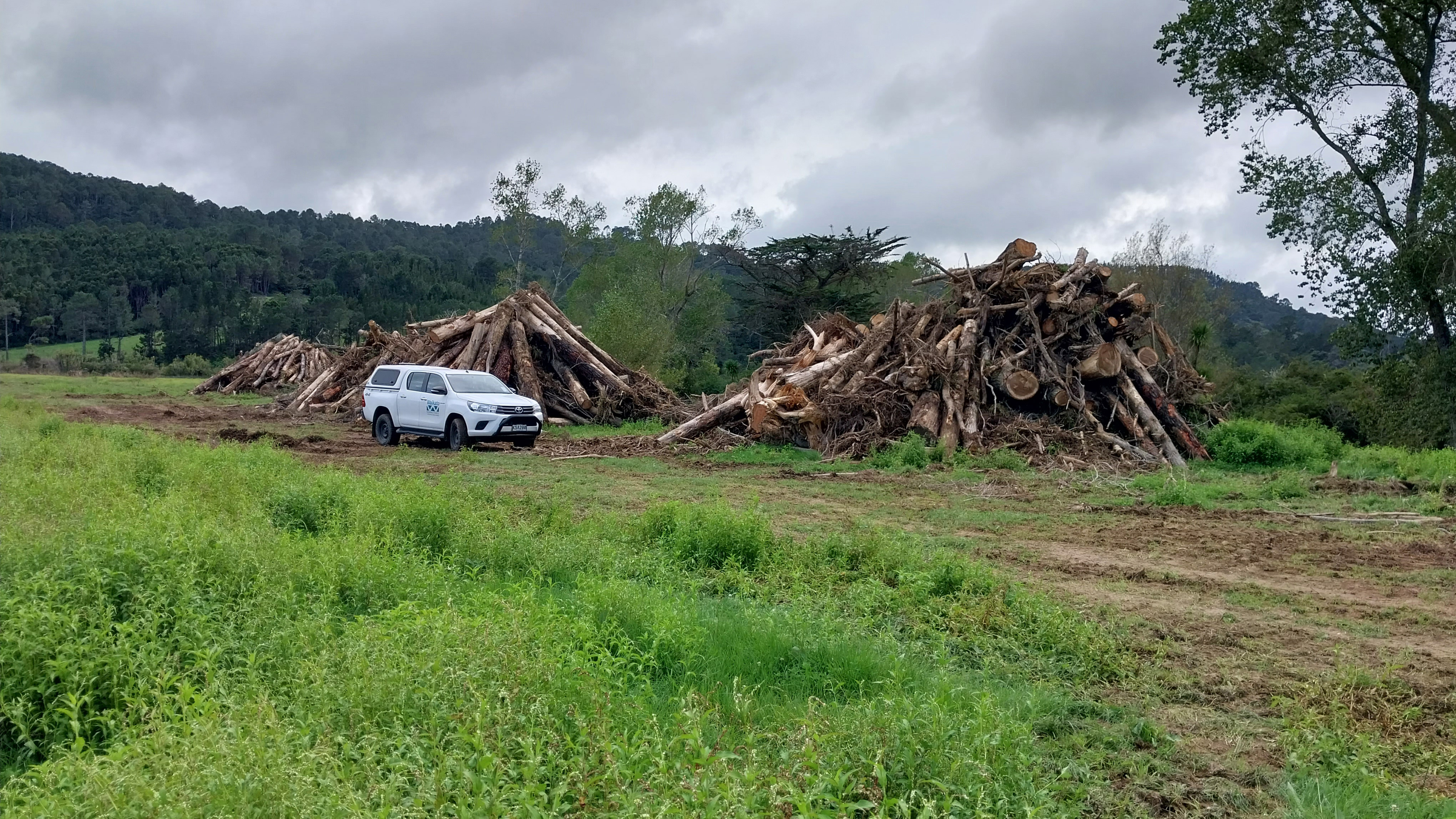 Vegetation debris accumulation in the Parakau Stream