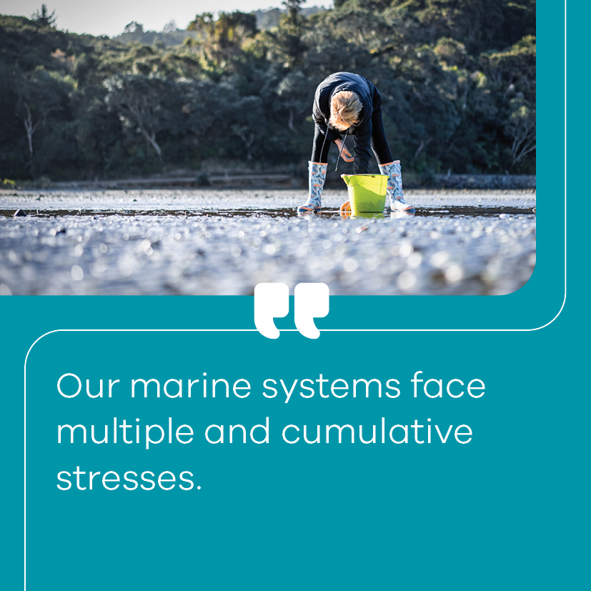  Image and quote about coastal and marine work 