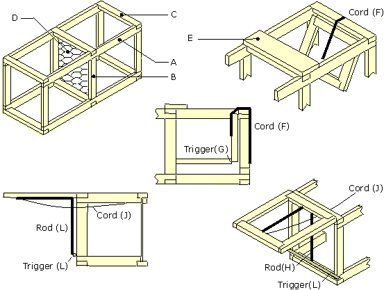 Image - diagram of how to construct a magpie trap.