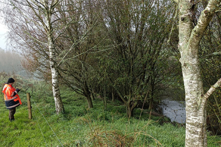 Riparian monitoring at the Tahunaatara Stream in the Upper Waikato Catchment.