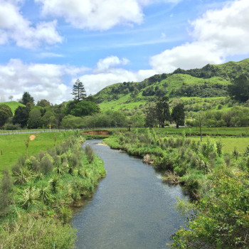 A river winding through green, rolling farmland and hills in the Waikato catchment.