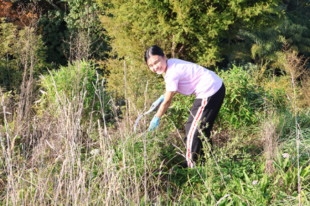 Mahi to help the local community at The Fairfield Project urban gully restoration.