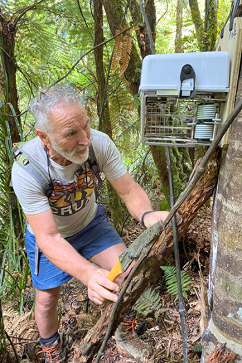 Volunteer checks automatic trap at eye level