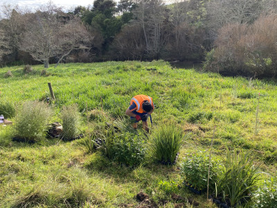 Working at Waikato Regional Council