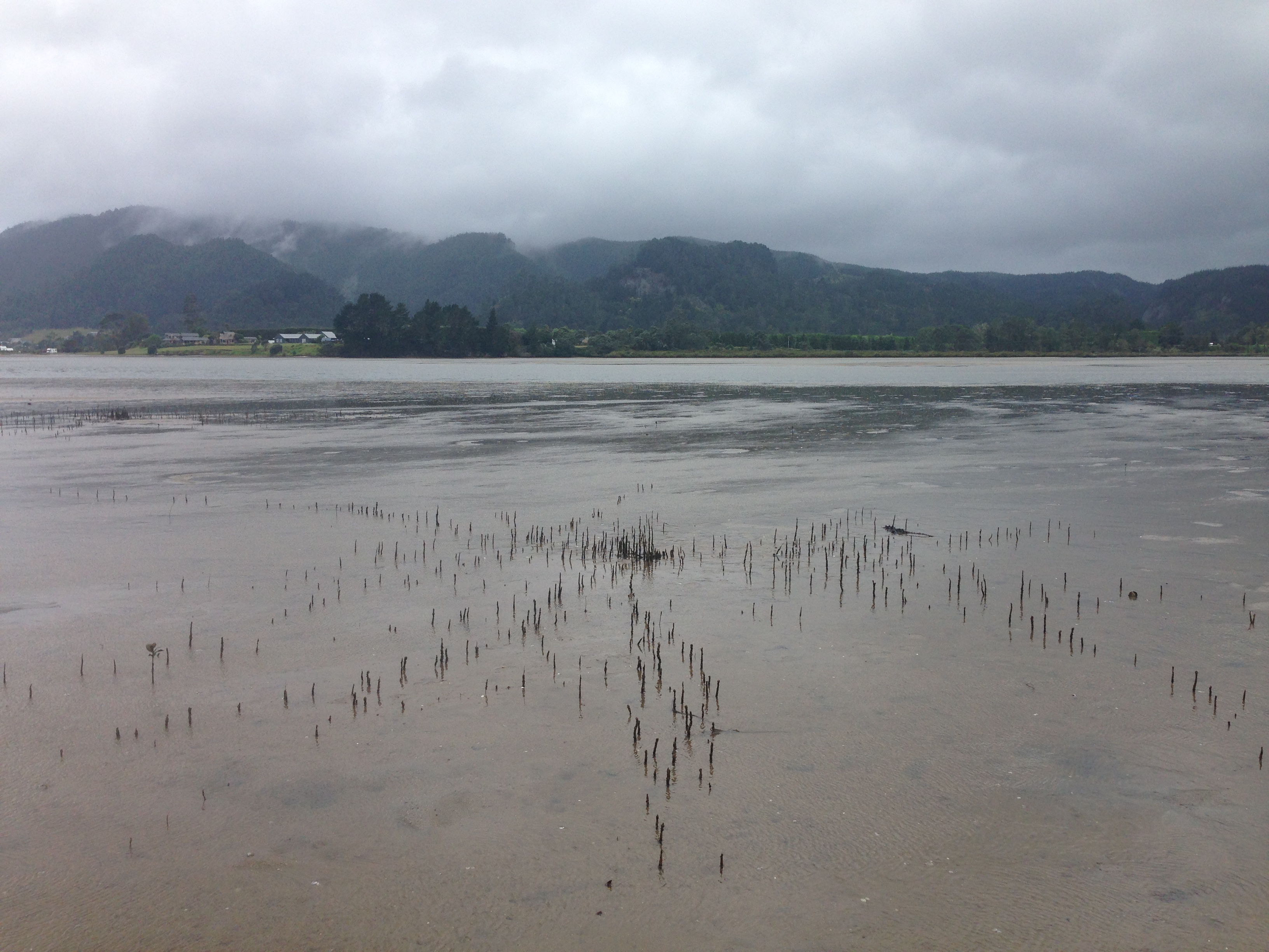 Tairua Harbour