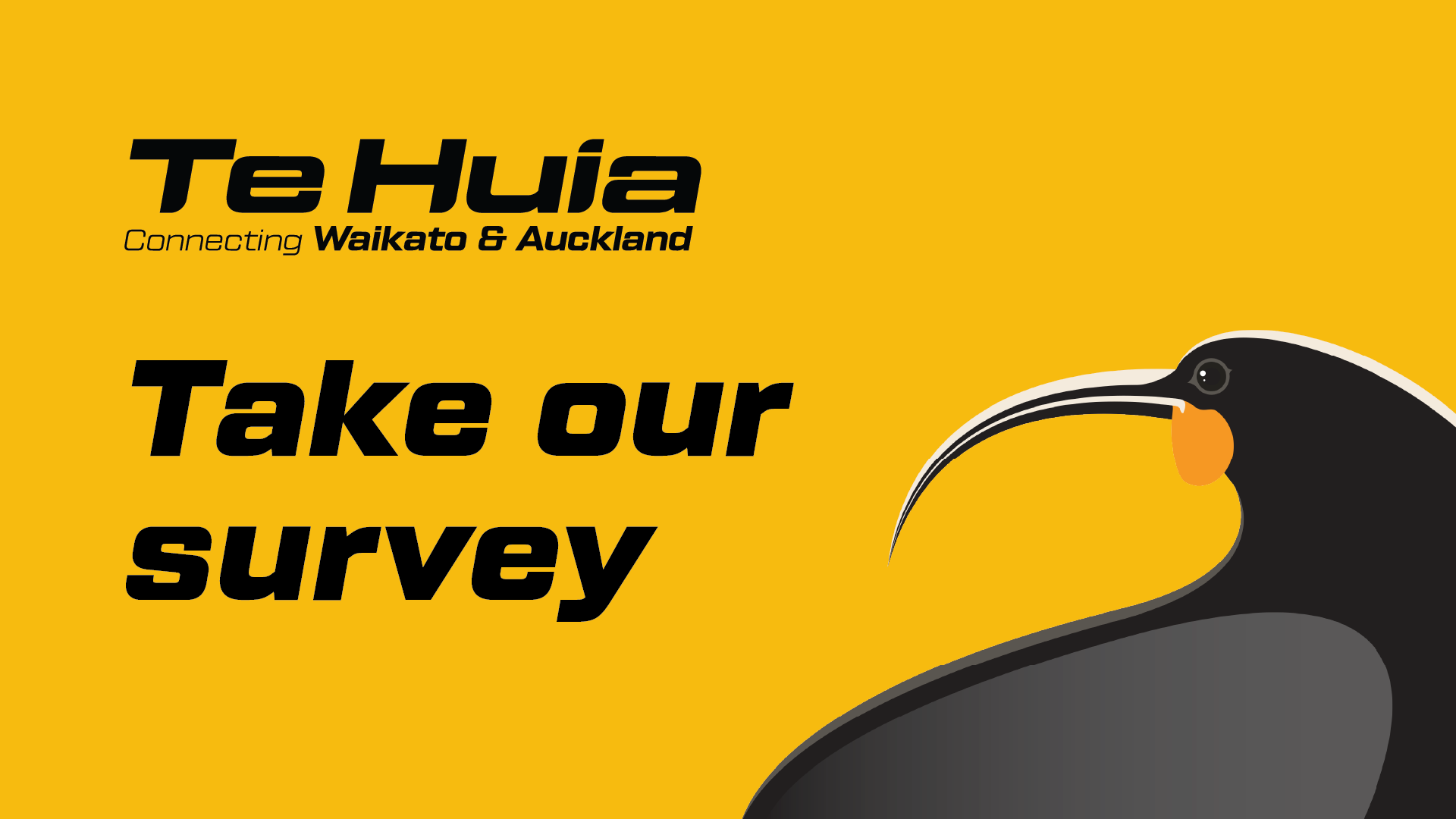 TE HUIA: Whether you have travelled on Te Huia or not, we want to hear your thoughts about the service. Survey is open until Sunday, 30 November.