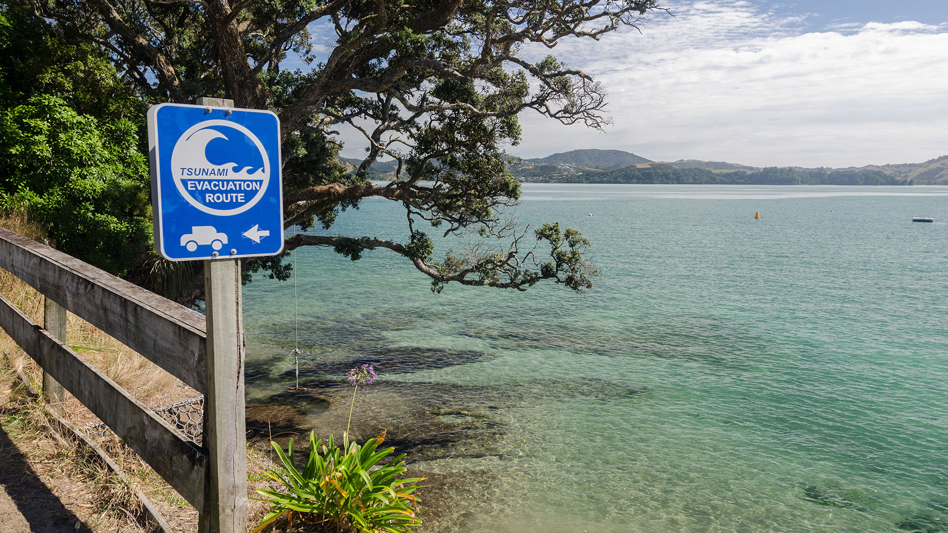 Image - Tsunami evacuation route sign at Mercury Bay