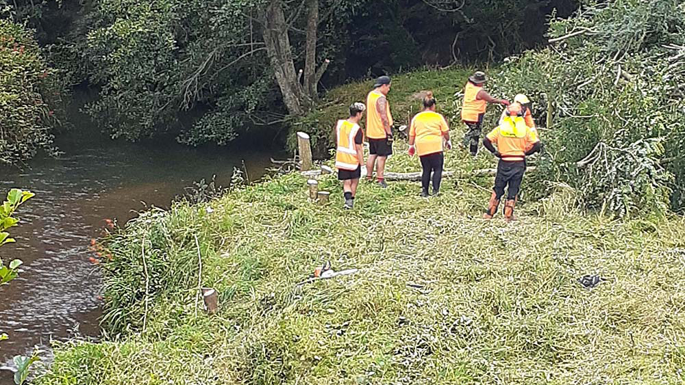 December 2020: Clearing large woody pest plants along the stream.