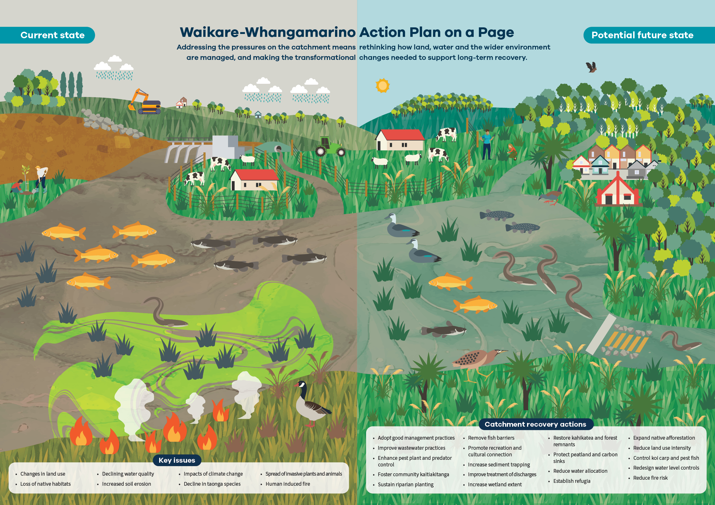 Image showing a Whangamarino wetlands diagram