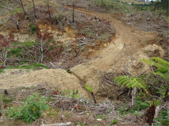 Typical stream crossing with no sediment controls or temporary culvert.