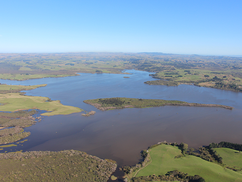 Photograph of Lake Whangape